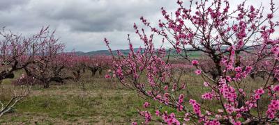 Прикрепленное изображение: IMG_20230408_151548.jpg